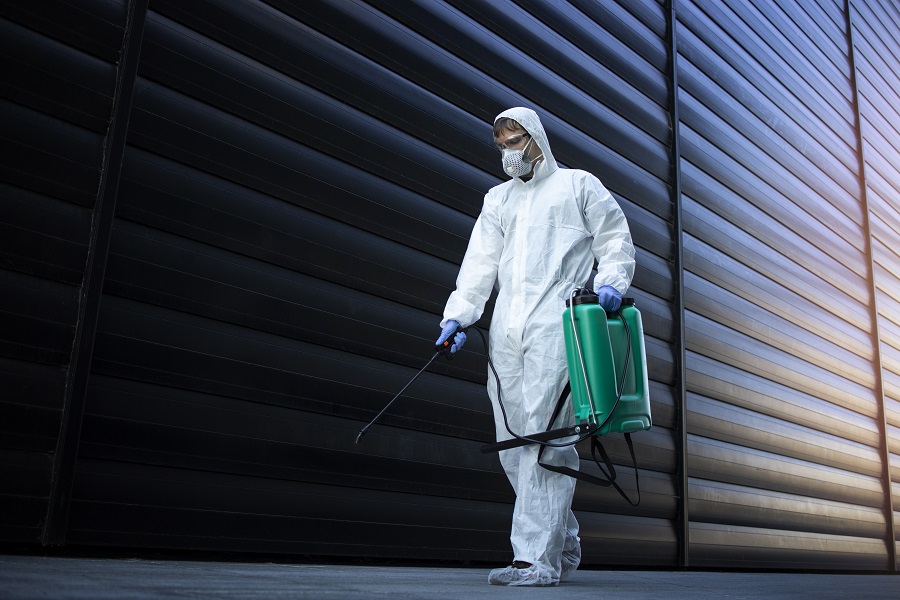 Why Hawx Pest Control is the Best Choice